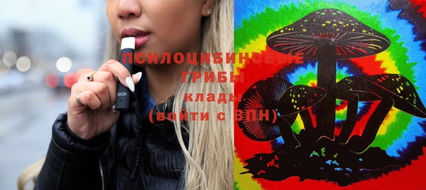 ГАЛЛЮЦИНОГЕННЫЕ ГРИБЫ Абинск